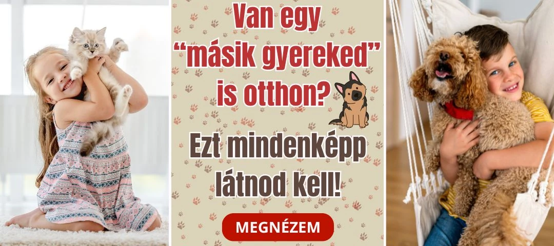 ASTI Bababolt és Webáruház
