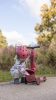 Scoot and Ride Highhwaykick 1 Lifestyle Wildcat