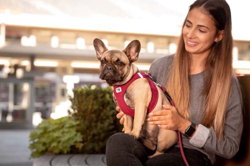 CURLI Kutyahám csatokkal Air-Mesh Ruby XL, 12-18kg