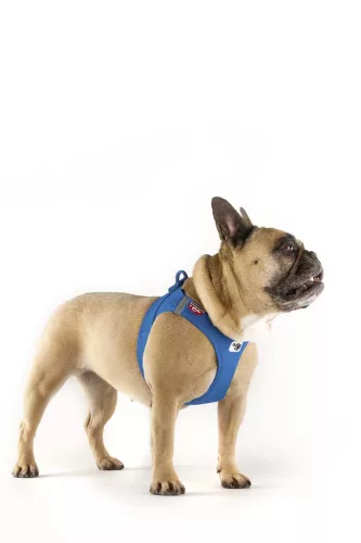 CURLI Kutyahám csatos Air-Mesh Kék XS, 3-5kg