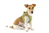 CURLI Kutyahám csatos Air-Mesh Lime L, 8-13 kg