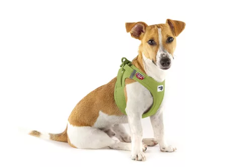 CURLI Kutyahám csatos Air-Mesh Lime L, 8-13 kg