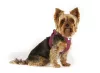 CURLI Kutyahám légáteresztő csattal Air-Mesh Moss 2XS, 2-4kg