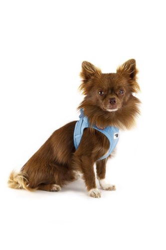 CURLI Kutyahám csatos Air-Mesh Brown XS, 3-5 kg