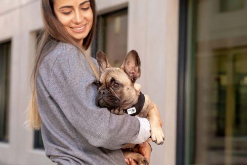 CURLI Kutyahám csatos Air-Mesh Black XL, 12-18kg