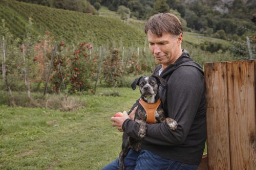 CURLI Kutyahám alma bőrből Brown XS, 3 - 5 kg