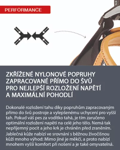 CURLI Kutyahám alma bőrből Brown S, 4 -7 kg