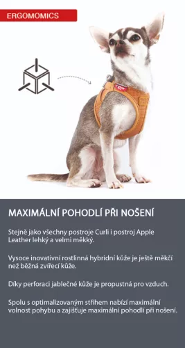 CURLI Kutyahám alma bőrből Brown S, 4 -7 kg