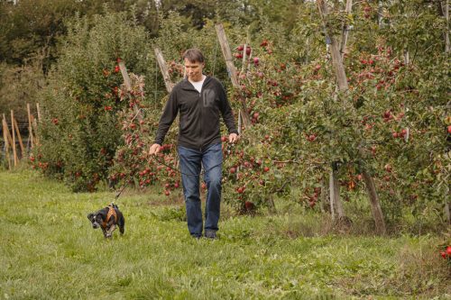 CURLI Kutyahám alma bőrből Black S, 4 -7 kg