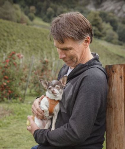 CURLI Kutyahám alma bőrből Black L, 8 - 13 kg