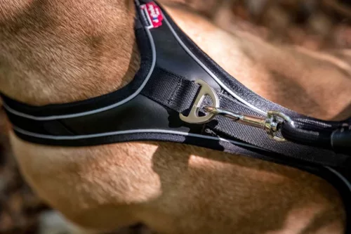 CURLI Kutyahám Belka Comfort Brown XL, 30-45kg