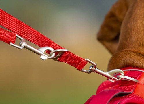 CURLI Állítható póráz kutyáknak Nylon Piros M 200x1,5cm