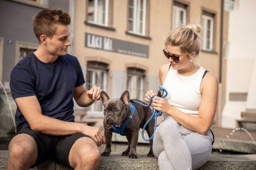 CURLI Póráz kutyáknak Comfort Blue M