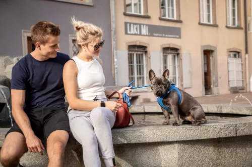 CURLI Kutyapóráz Comfort Blue L