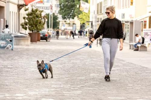 CURLI Kutyapóráz Comfort Blue L