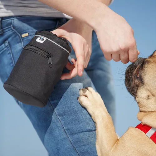 CURLI Jutalomfalat tartó kutyáknak