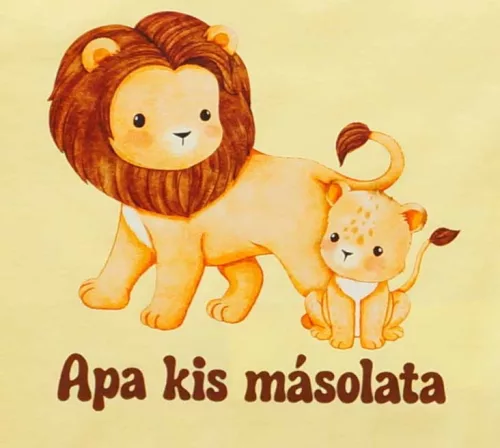 Apák napi baba body
