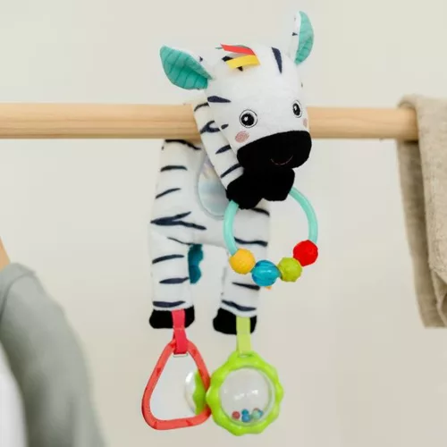 babyFEHN activity zebra