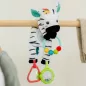 babyFEHN activity zebra