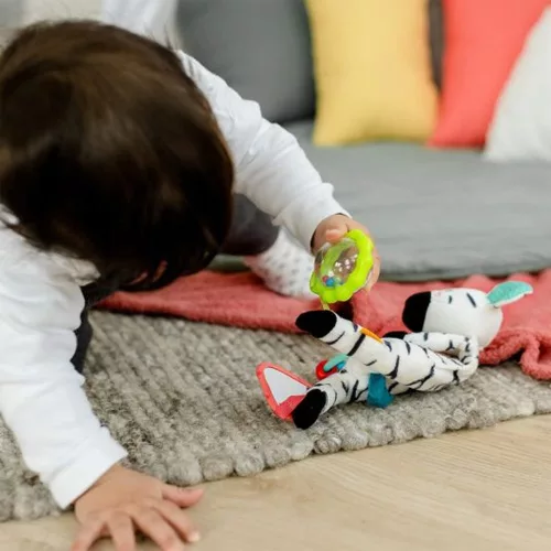 babyFEHN activity zebra