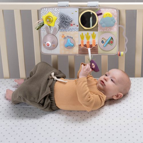 Taf Toys játékcenter Developmental Activity center