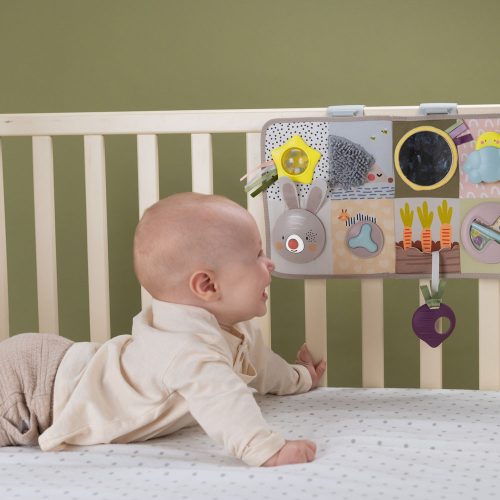 Taf Toys játékcenter Developmental Activity center