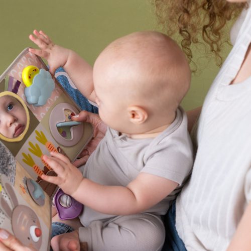 Taf Toys játékcenter Developmental Activity center