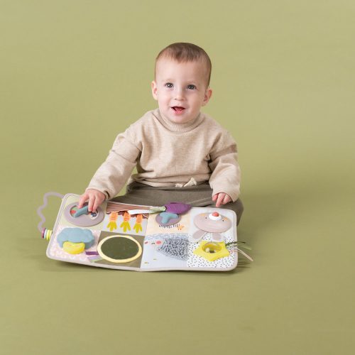 Taf Toys játékcenter Developmental Activity center