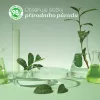CHICCO Cumisüveg- és cumitisztító Sensitive 300 ml, 0 hónapos kortól