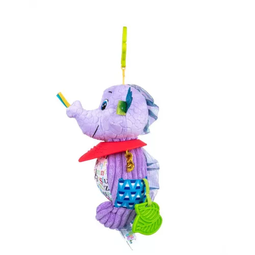 Moni Bali bazoo 80204 fóka monti