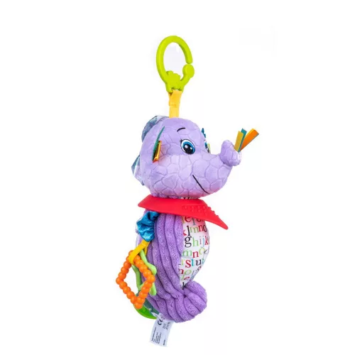 Moni Bali bazoo 80204 fóka monti