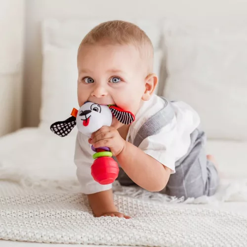 Moni Bali Bazoo 82028 rágóka kutya pedro
