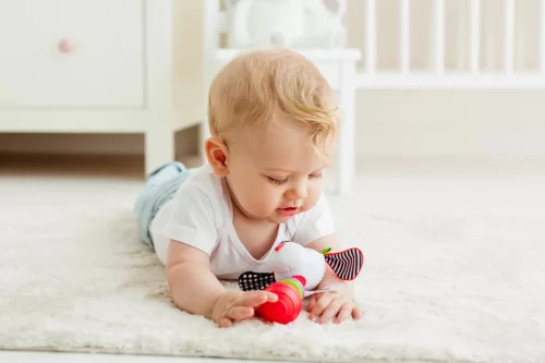 Moni Bali Bazoo 82028 rágóka kutya pedro