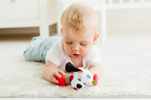 Moni Bali Bazoo 82028 rágóka kutya pedro
