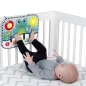   BABY EINSTEIN Multifunkciós zongora 2 in1 Neptune's Kick & Explore™ 0hó+