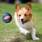 NERF DOG Játék kutyáknak 3 db sípoló teniszlabda 6,5 cm