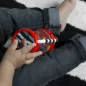   BABY EINSTEIN Rágóka aktivitásokkal Cal’s Sensory Shake-up™3hó+