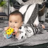 BABY EINSTEIN Rágóka csörgővel Soothing Star  BPA mentes 0hó+