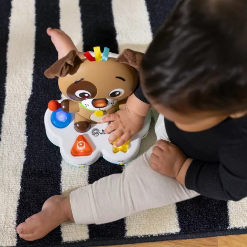 BABY EINSTEIN Zenélő fejlesztő játék Drum & Learn Dean™ 6hó+