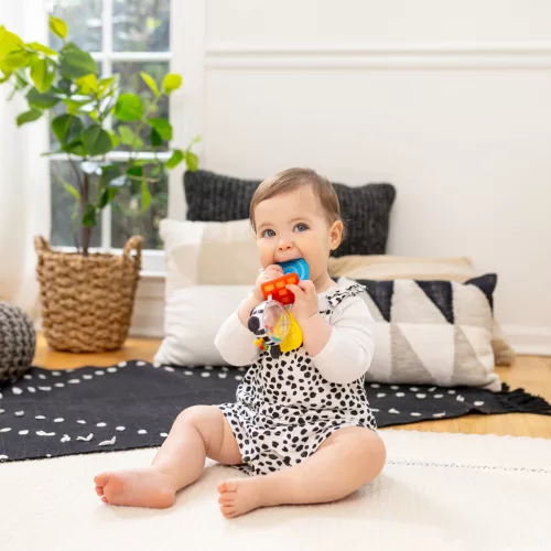 BABY EINSTEIN Rágóka csörgővel zebra Zen™ Shake-a-Shape BPA mentes 0hó+