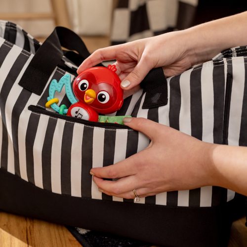 BABY EINSTEIN Zenélő érzékszervi játék Roxy's Bright Flight™ 3hó+