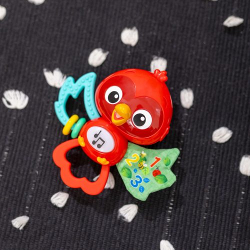 BABY EINSTEIN Zenélő érzékszervi játék Roxy's Bright Flight™ 3hó+