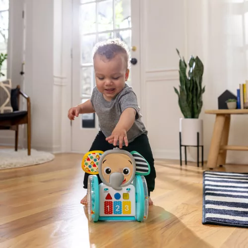 BABY EINSTEIN Musical Interaktív Játék Chase & Tap Earl™ 6hó+