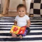   BABY EINSTEIN Multiszenzoros Foglalkoztatófüzet Nature Sounds™, 0m+