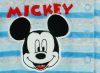 Disney Mickey bébi 2 részes plüss szett
