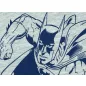 Batman 2 részes fiú szett