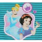 Disney Princess- Hercegnők lányka rövidnadrág