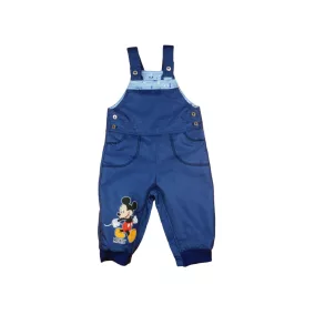 Disney Mickey fiú vízlepergetős, bélelt kertésznad
