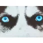 Husky mintás hosszú ujjú póló