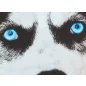 Husky mintás hosszú ujjú póló